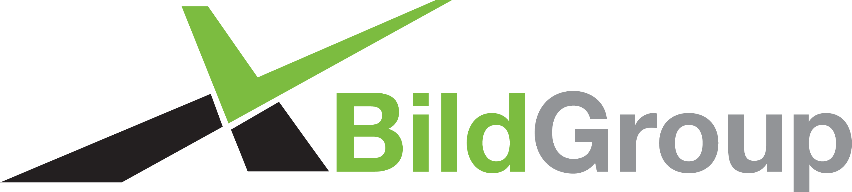Bild Group
